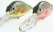 Wobler Mistrall Crucian Diver