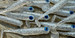 Guma spinningowa Great Fish GF1