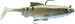 Przynęta gumowa Daiwa Prorex Lazy Roach RD