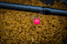 Przypon do tyczki Matrix MXC-4 X-Strong Boilie Pin