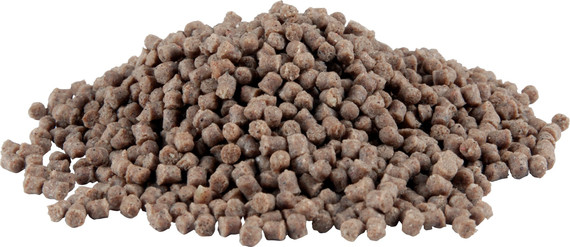 Pellet Dragon Magnum Classic
